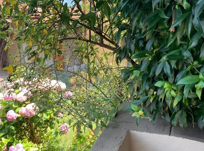 度假居 Casa Del Wabi-sabi *